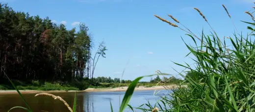 Gdzie na wycieczkę z Warszawy? 9 kierunków do 150 km